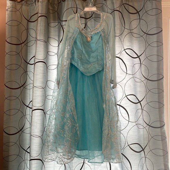 Disney Parks Authentic Original Elsa Costume - Picture 1 of 5